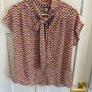 Pleione Multicolor Chevron Blouse